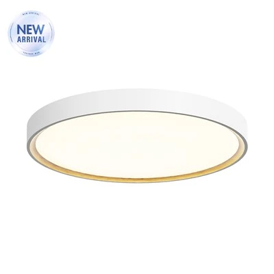 LED-laevalgustid CL04 seeria